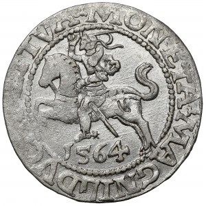 Zygmunt II August, Półgrosz Wilno 1564
