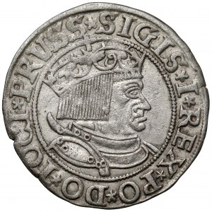 Zygmunt I Stary, Grosz Toruń 1533