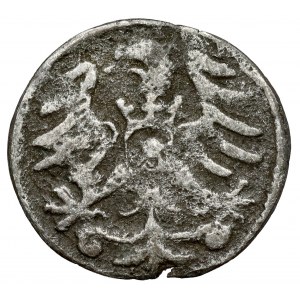 Prusy, Albrecht Hohenzollern, Denar Królewiec bez daty