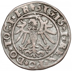 Zygmunt I Stary, Grosz Elbląg 1535