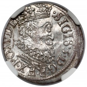 Zygmunt III Waza, Trojak Ryga 1619 - mała głowa