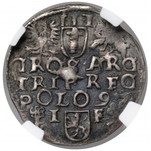 Zygmunt III Waza, Trojak Wschowa 1597