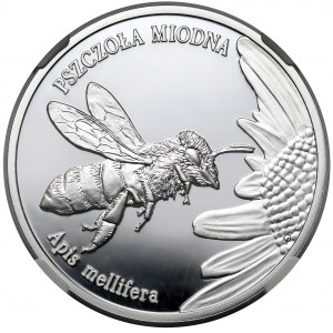 20 złotych 2015 Pszczoła Miodna