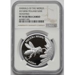 20 złotych 2015 Pszczoła Miodna