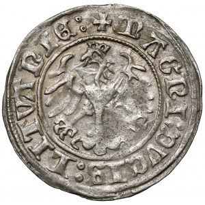 Zygmunt I Stary, Półgrosz Wilno 1509