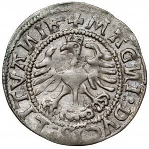 Zygmunt I Stary, Półgrosz Wilno 1523