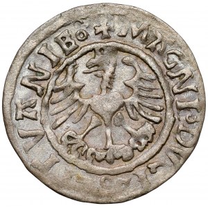 Zygmunt I Stary, Półgrosz Wilno 1526