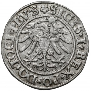 Zygmunt I Stary, Grosz Elbląg 1533 - pierwszy