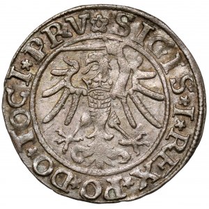Zygmunt I Stary, Grosz Elbląg 1535