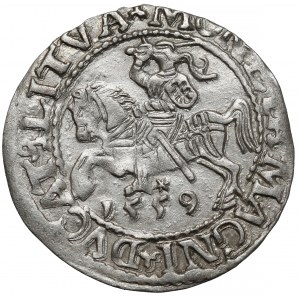 Zygmunt II August, Półgrosz Wilno 1559