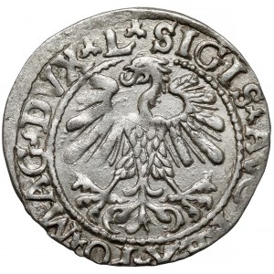 Zygmunt II August, Półgrosz Wilno 1559