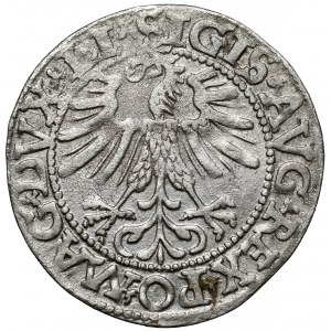 Zygmunt II August, Półgrosz Wilno 1562