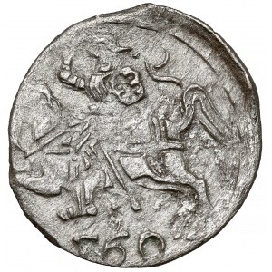 Zygmunt II August, Denar Wilno 1560 - rzadki