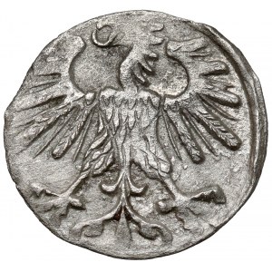 Zygmunt II August, Denar Wilno 1560 - rzadki