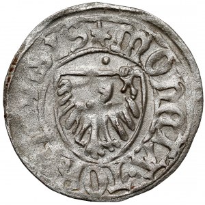 Kazimierz IV Jagiellończyk, Szeląg Toruń - gwiazdy