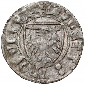 Kazimierz IV Jagiellończyk, Szeląg Toruń - krzyże