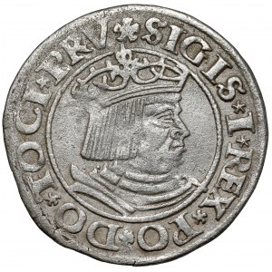 Zygmunt I Stary, Grosz Gdańsk 1530 - pierwszy - rzadki