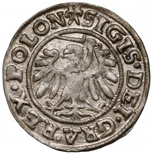 Zygmunt I Stary, Szeląg Gdańsk 1539 - trójlstek