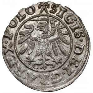 Zygmunt I Stary, Szeląg Gdańsk 1539 - rzadki