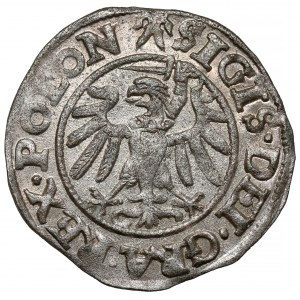 Zygmunt I Stary, Szeląg Gdańsk 1538