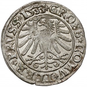 Zygmunt I Stary, Grosz Toruń 1533 - piękny