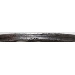 Poniatowski, Medal nagrodowy PRO FIDE GREGE... (Holzhaeusser)