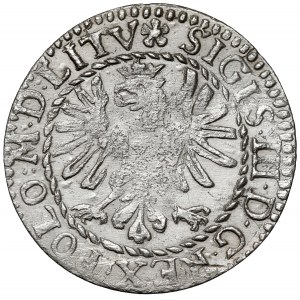 Zygmunt III Waza, Grosz Wilno 1610