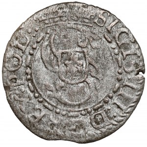 Zygmunt III Waza, Szeląg Ryga 1616