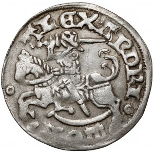Aleksander Jagiellończyk, Półgrosz Wilno - gotycki