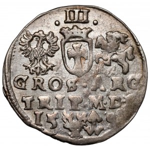 Zygmunt III Waza, Trojak Wilno 1598 - Chalecki