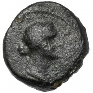 Grecja, Egipt, Kleopatra VII Wielka, Dichalkon (44-30 p.n.e.) - rzadka