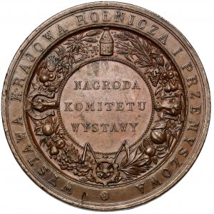 Medal, Wystawa Krajowa Rolnicza i Przemysłowa... Kraków 1887 (Pittner)