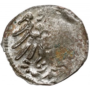 Prusy, Albrecht Hohenzollern, Denar Królewiec 1563