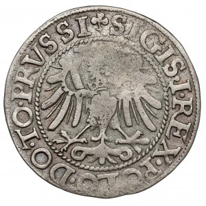 Zygmunt I Stary, Grosz Elbląg 1540