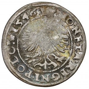 Zygmunt I Stary, Grosz Kraków 1546 ST - rzadki