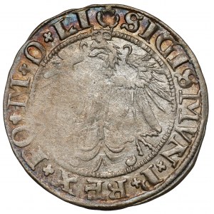 Zygmunt I Stary, Grosz Wilno 1536 - litera I - czerwiec