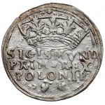 Zygmunt I Stary, Grosz Kraków 1545 - przebitka z 1544 - b.rzadki