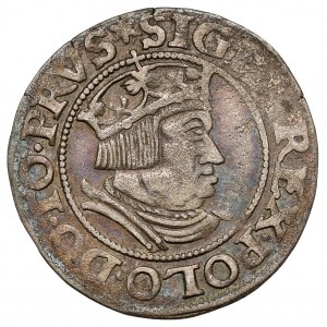 Zygmunt I Stary, Grosz Gdańsk 1535 - nowe popiersie