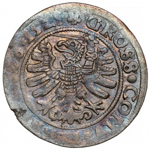 Zygmunt I Stary, Grosz Toruń 1529