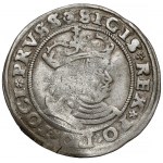 Zygmunt I Stary, Grosz Toruń 1529 - SIGIS * REX (brak I)