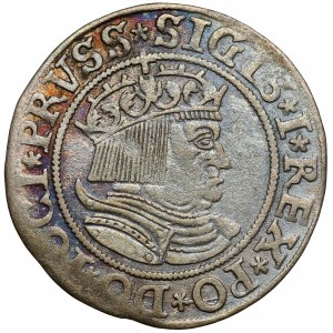 Zygmunt I Stary, Grosz Toruń 1533 - ozdobny naramiennik