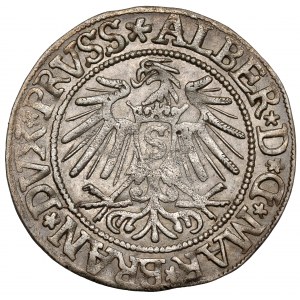 Prusy, Albrecht Hohenzollern, Grosz Królewiec 1537