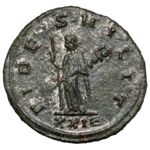 Probus (276-282 n.e.) Antoninian, Rzym
