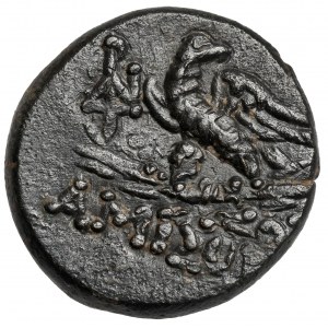 Grecja, Pont, Amisos, AE20 (120-63 p.n.e.)