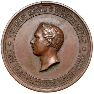Niemcy, Württemberg, Medal bez daty - Dem Landwirthsch. Verdienste