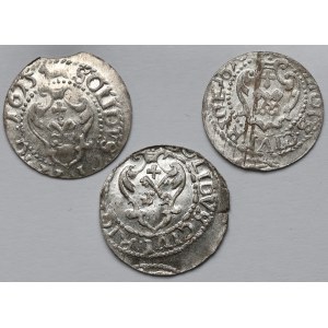 Zygmunt III Waza, Szelągi Ryga - zestaw (3szt)