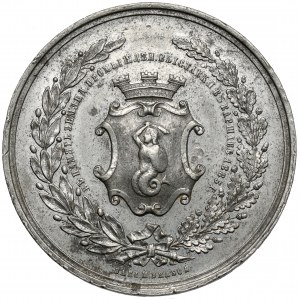 Medal, Wystawa Rolniczo-Przemysłowa w Warszawie 1885