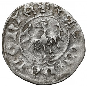 Władysław II Jagiełło, Półgrosz Kraków - typ 15 - znak +