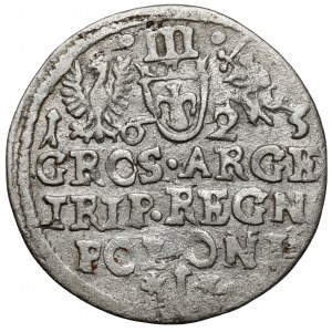 Zygmunt III Waza, Trojak Kraków 1623