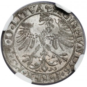 Zygmunt I Stary, Grosz Wilno 1535 - przejściowy - B. RZADKI